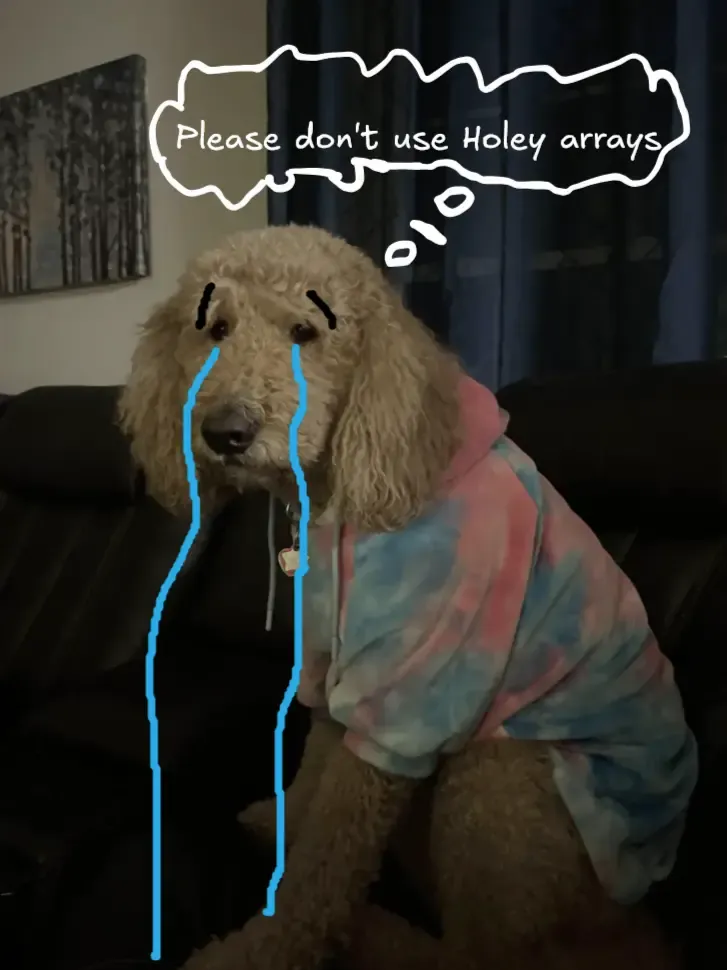 a sad puppy wearing a sweatshirt thinking please don't use holey arrays